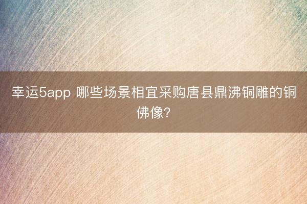 幸運5app 哪些場景相宜采購唐縣鼎沸銅雕的銅佛像？