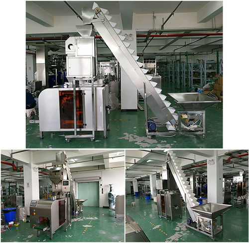 自動(dòng)化腰果包裝加工線設(shè)備 大型腰果自動(dòng)生產(chǎn)包裝機(jī)械